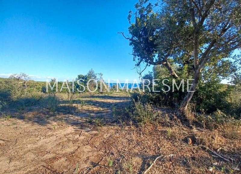 Foto 2c8858ae-3f1c-4c48-9055-b3b36592b453. Finca rústica terreno rústico en venta en Zona alta Arenys de Mar