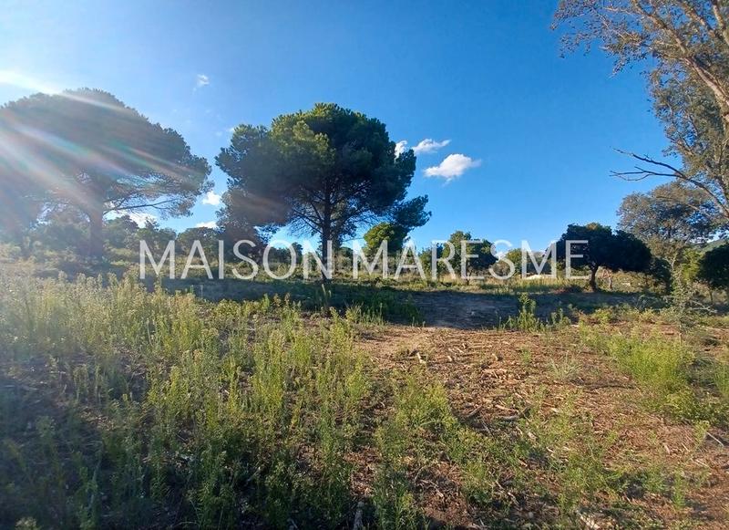 Foto 344c3251-a8d2-4b5b-9b3e-fc0c27f6a0dc. Finca rústica terreno rústico en venta en Zona alta Arenys de Mar