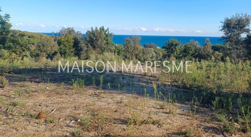 Foto 3bd17423-4b98-4c43-b2bc-72ebc01c1912. Finca rústica terreno rústico en venta en Zona alta Arenys de Mar