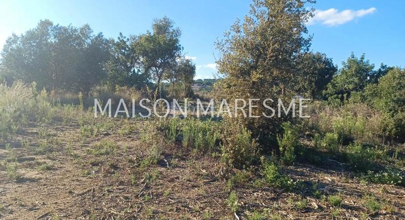 Foto 46b29b82-83f6-4b54-8d8a-e08da062d641. Finca rústica terreno rústico en venta en Zona alta Arenys de Mar