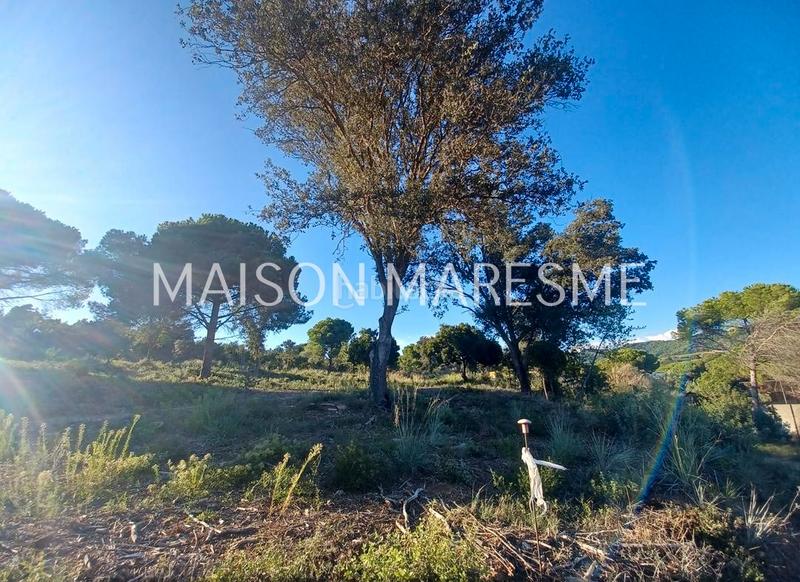 Foto 47de443f-5d97-4b63-9d29-bde0e2296be5. Finca rústica terreno rústico en venta en Zona alta Arenys de Mar