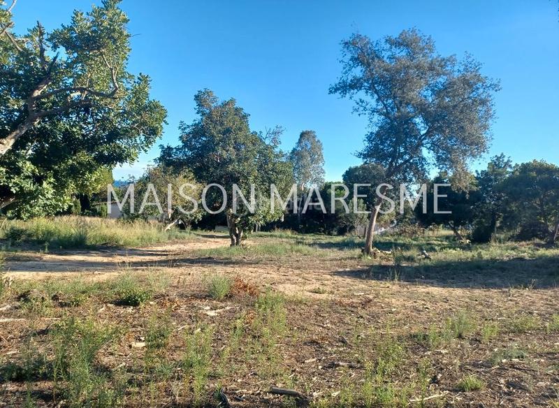 Foto 4ca5fb0a-23b1-429a-82a7-d467fe6fb0b2. Finca rústica terreno rústico en venta en Zona alta Arenys de Mar