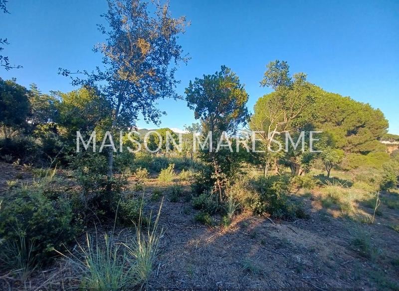 Foto 68360ccc-f525-4e05-9646-fbe743edd01b. Finca rústica terreno rústico en venta en Zona alta Arenys de Mar