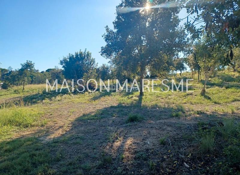 Foto 80bf223c-c9a8-4e36-8ca2-ff71eb61b7a3. Finca rústica terreno rústico en venta en Zona alta Arenys de Mar