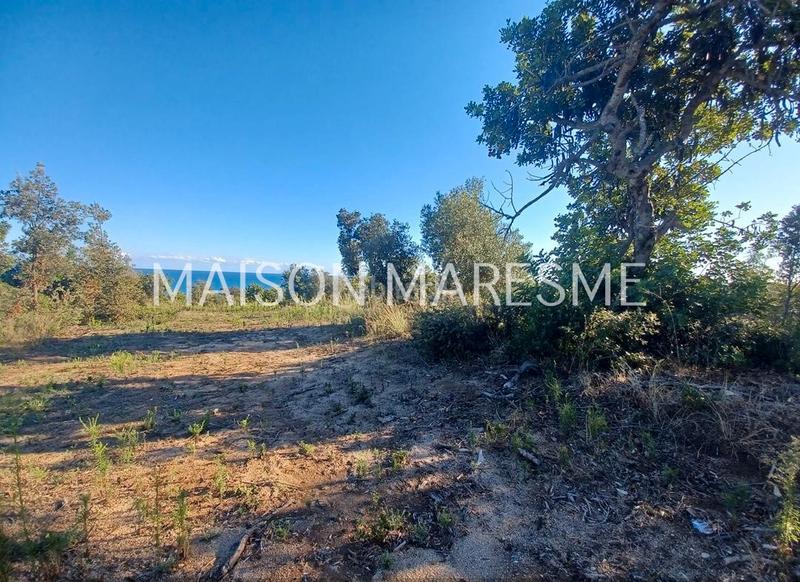 Foto a895d2bc-28bd-4557-b9cf-fe88b8f9f1a9. Finca rústica terreno rústico en venta en Zona alta Arenys de Mar