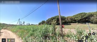 Finca rústica a Zona alta. Terreno rústico en venta