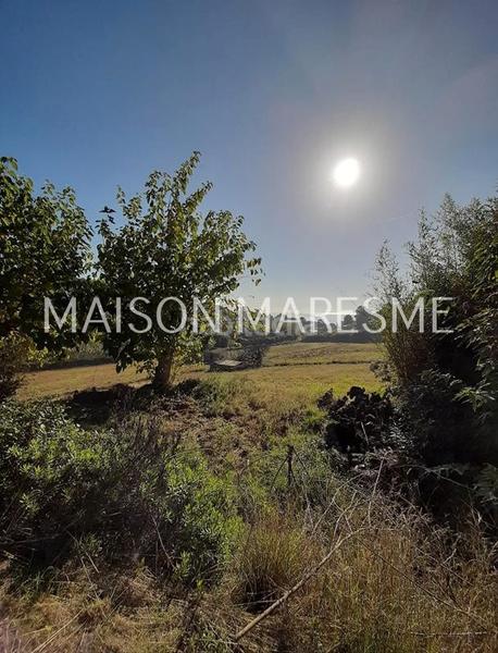 Foto e240c6c5-4a46-4ab3-ac7a-34a59416dee8. Finca rústica terreno rústico en venta en Zona alta Arenys de Mar