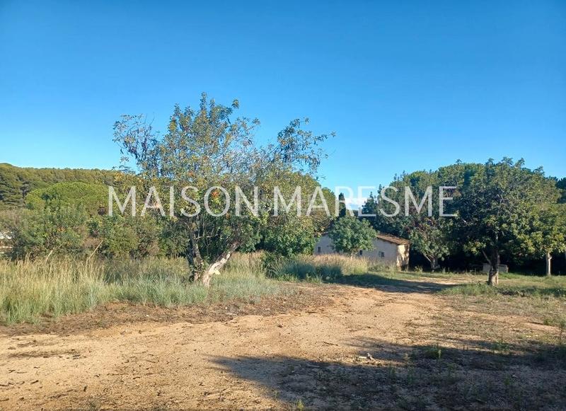 Foto e8319bef-f10b-4a84-b0fa-1a5f4aa8c2b9. Finca rústica terreno rústico en venta en Zona alta Arenys de Mar