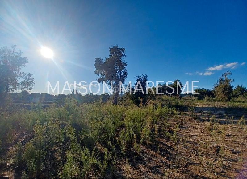 Foto e9b9e1b6-821c-4a0e-bf98-d7dbd793219e. Finca rústica terreno rústico en venta en Zona alta Arenys de Mar