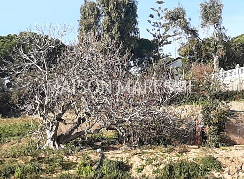 Foto 097a2963-8df9-4d6f-9da9-6e4597466271. Landgut in Urbanitzacions Arenys de Mar