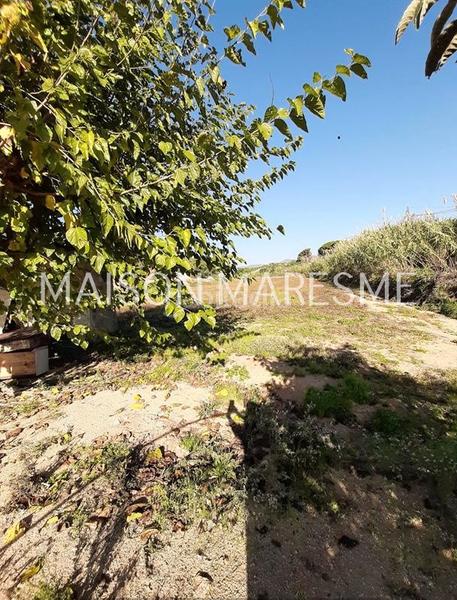 Foto 61535a1f-28cf-43a6-8c99-f592d9ca0e5a. Landgut in Urbanitzacions Arenys de Mar