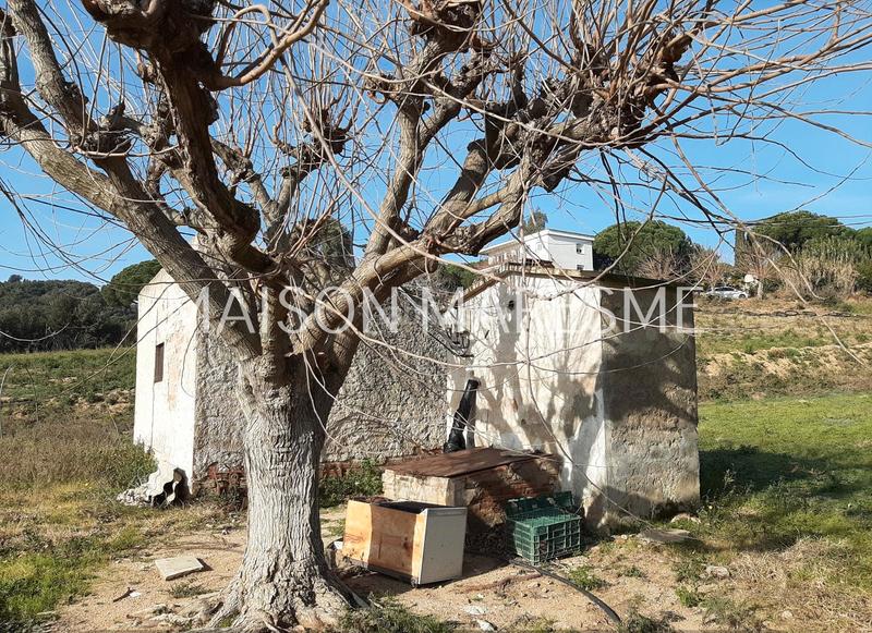 Foto 66e15a1d-aa26-49d5-8a5a-458ef2241968. Landgut in Urbanitzacions Arenys de Mar