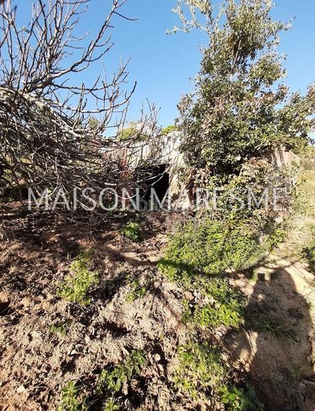 Foto f6202ab1-110c-4479-8616-6b55b0bcfce4. Landgut in Urbanitzacions Arenys de Mar