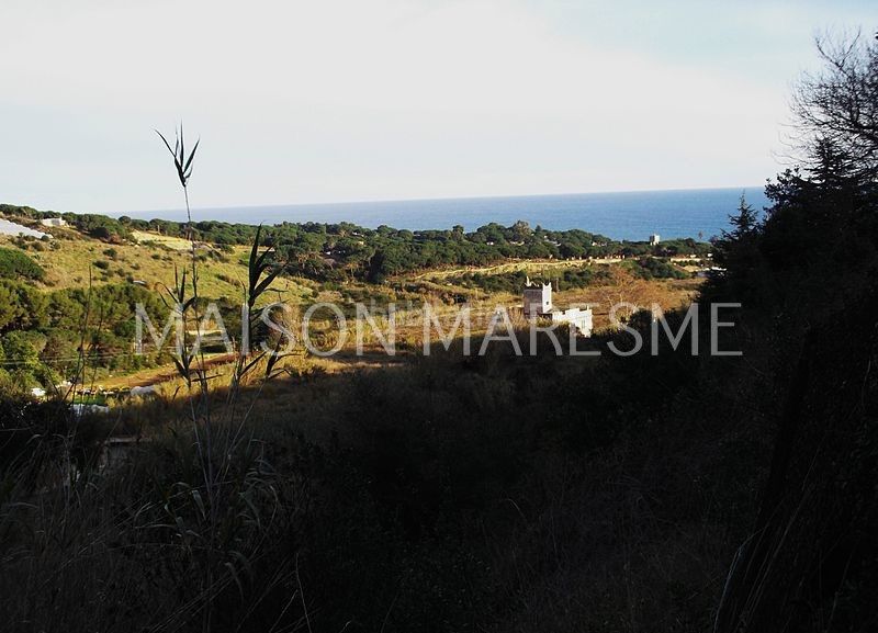 Foto aa61e6bc-8ce2-42e3-8189-4ed6fb422df5. Finca rústica a Canet de Mar
