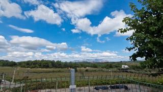 Geschäftsraum in Carrer de la Plaça 12