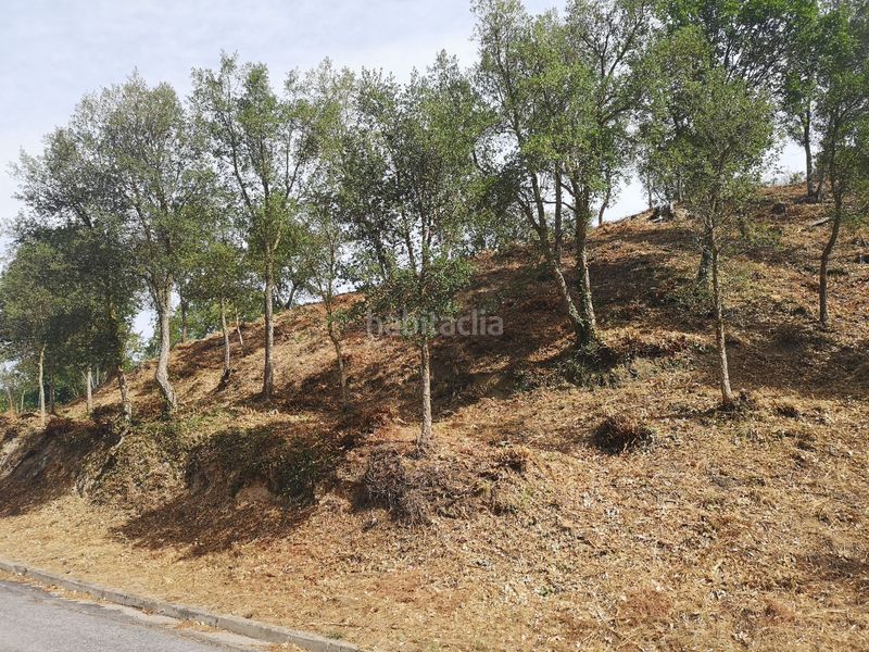 Foto 26f4a6ed-1aa4-4b8c-a92d-b5922333fed9. Terreny residencial a Caldes de Malavella