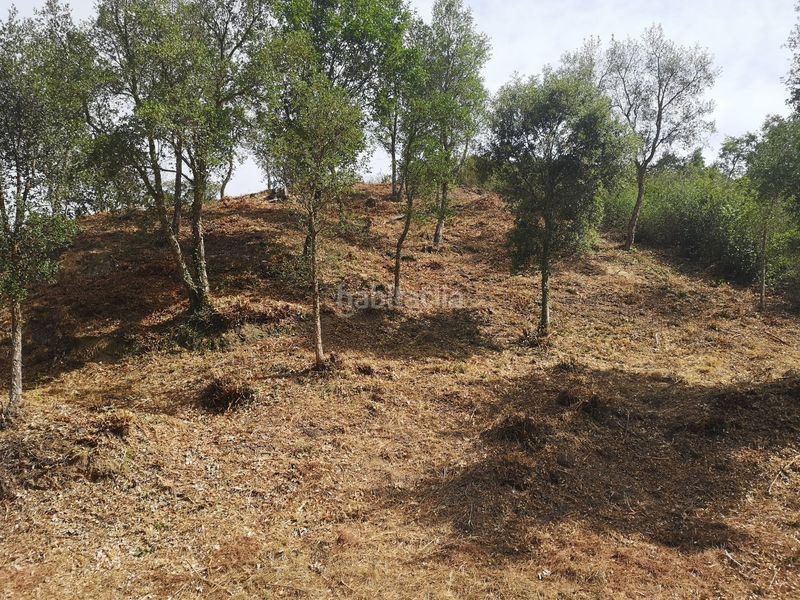 Foto f16049b7-91d8-4681-ad5d-1b96336c6a68. Terreny residencial a Caldes de Malavella