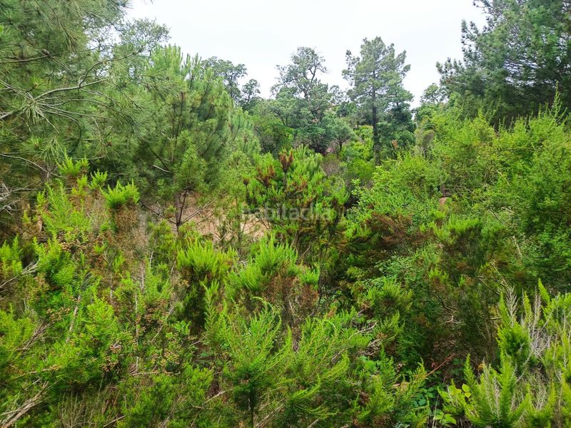 Foto 0eea4a18-00e0-4493-a0a2-1cf4a1bcc063. Terreny residencial a Llagostera