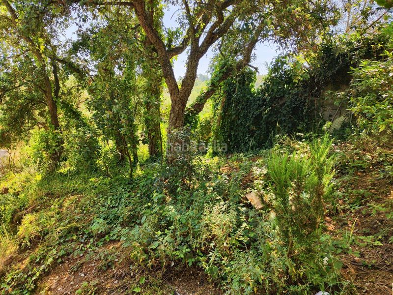 Foto 217a315f-3ead-40f2-b70c-3eb001288c3d. Terreny residencial a Llagostera