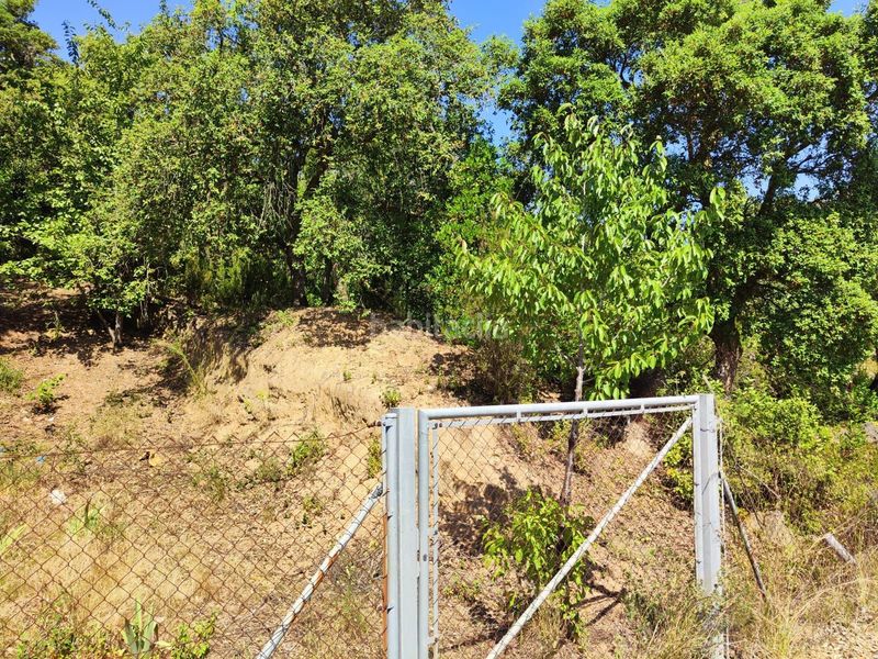 Foto 68531b51-b011-447a-ac9b-29753655a04e. Terreny residencial a Llagostera