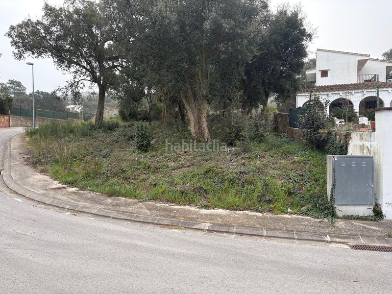 Foto 319321f2-eb50-4d09-b0a8-1487dcd6b6a7. Terreny residencial a Llagostera