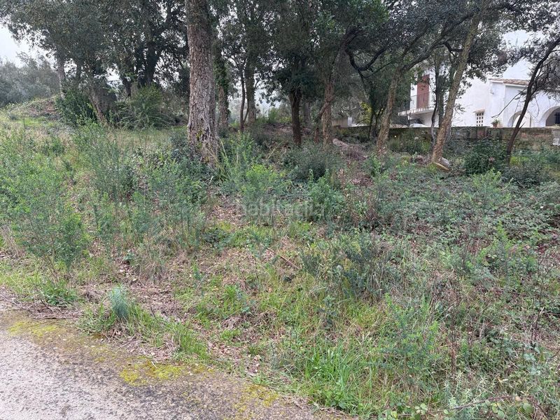 Foto 5a13c0bb-d7f3-4a6a-8b65-35b3902994e7. Terreny residencial a Llagostera