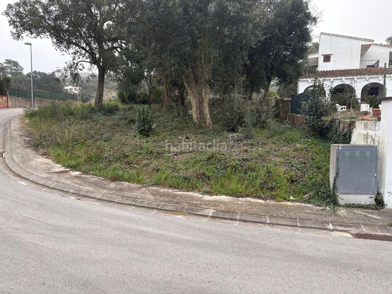 Foto 898fe1cd-f5a9-4f3e-b59a-7aa01b16ab1b. Terreny residencial a Llagostera