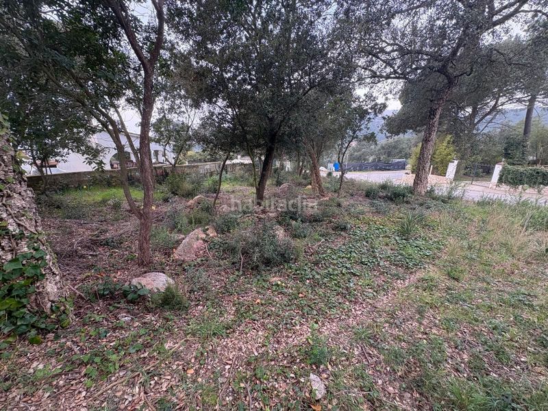 Foto b95d0b9b-23ed-462b-b255-1dc3451e63e5. Terreny residencial a Llagostera