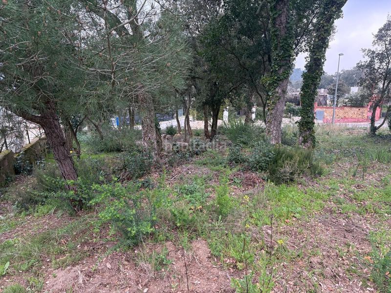Foto d696ac94-0363-4c52-80fa-3d7dd361e683. Terreny residencial a Llagostera