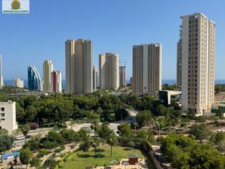 Affitto Piccolo appartamento in Via Parque. Apartamento en alquiler 2 habitaciones ,ideal profesores .