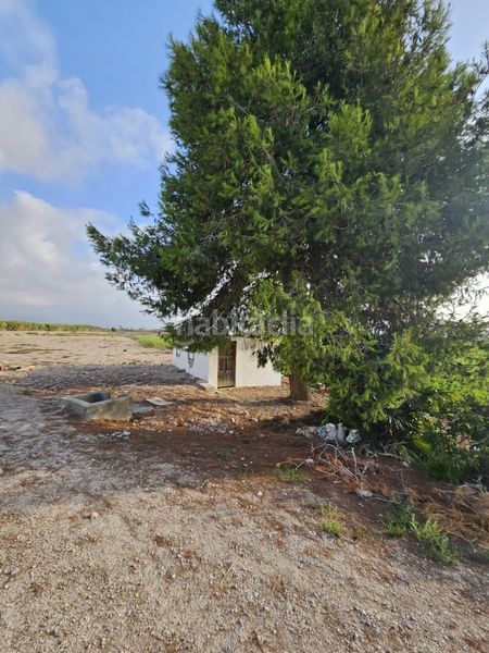 Foto 3027f34b-b782-4f7f-a0fb-0c37d04faae0. Terreny residencial a Dolores