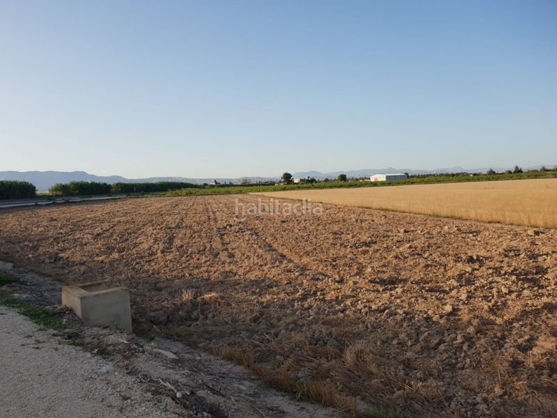Foto 747be057-466f-4460-a790-b716d9af63c4. Terreny residencial a Dolores
