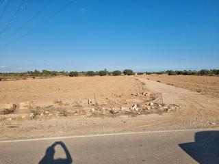 Finca rústica  Carretera crevillente. Terreno agrícola de 8.000 m2 en crevillente