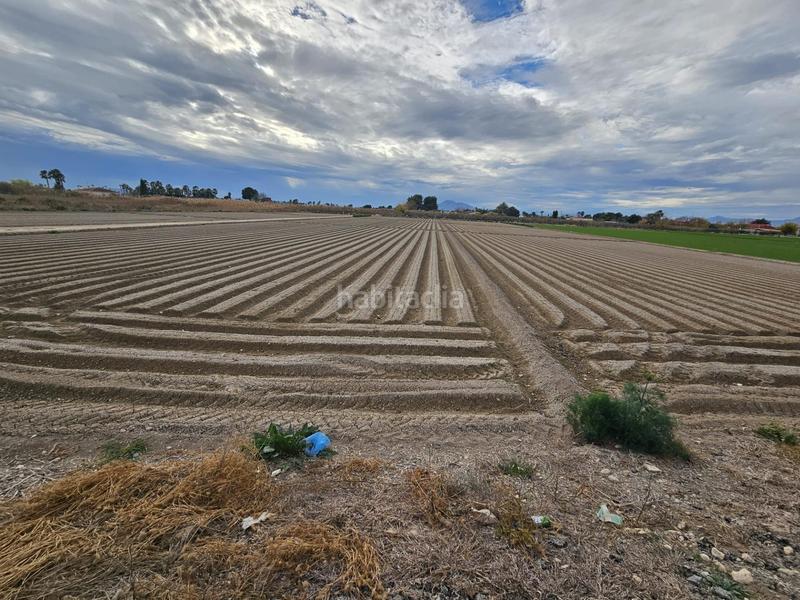 Foto 14b3234e-1c05-48e2-93d6-c5a0ed8de037. Rural plot in Dolores