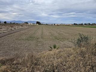 Finca rústica  Carretera dolores. Parcela rústica  de 13.000 m2 en dolores