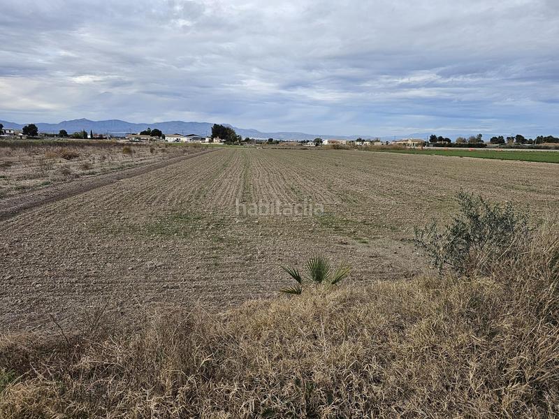 Foto f2acfd5b-71a7-4a81-85fa-7992f69c98ad. Rural plot in Dolores