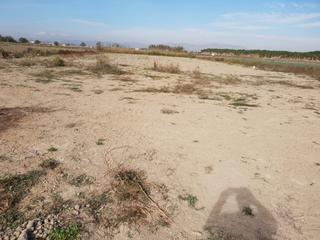 Finca rústica  Ciudad quesada. Terreno de 60 000 m2 en ciudad quesada