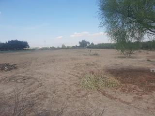 Propriété  Campico. Grande parcela en el campo de guardamar