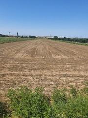 Terreny residencial  Campo de rojales. Parcela agrícola en el campo de guardamar