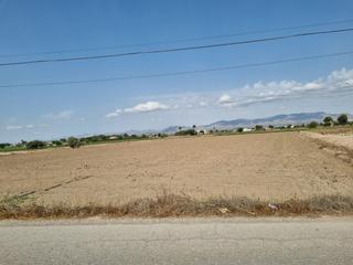 Finca rústica  03150. Parcela de 11000m2 en dolores