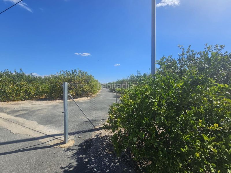 Foto 9ff49e13-c85a-4e4d-b897-af57c688195a. Finca rústica a Rojales