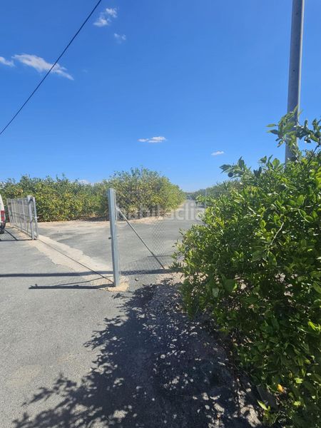 Foto b653c745-214f-407e-83cd-68572b99d769. Finca rústica a Rojales