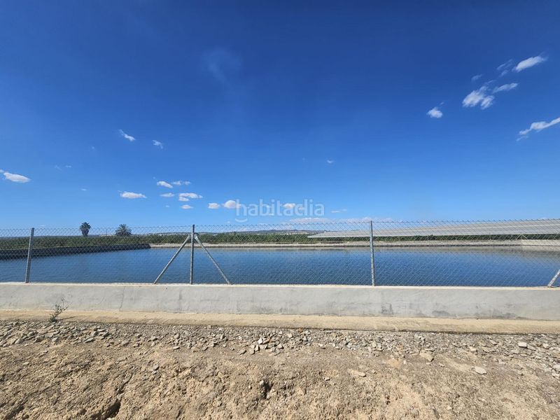 Foto fb2822d4-424c-4239-b04b-ca24ec7fa971. Finca rústica a Rojales