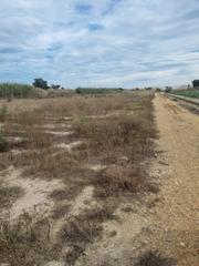 Finca rústica  Camino otra. Parcela rústica en san fulgencio