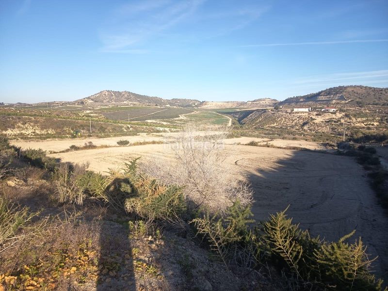 Foto 16cff9a2-670b-4a89-8594-ac0f41981710. Finca rústica a Desamparados - Hurchillo - Torremendo Orihuela