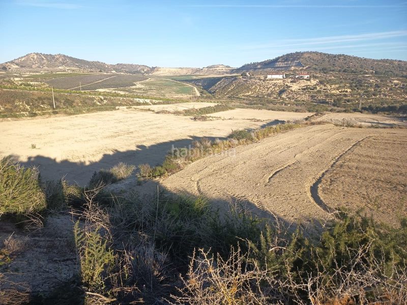 Foto 43036fee-1ba6-4e48-a3e0-7c8e1eb8180a. Finca rústica a Desamparados - Hurchillo - Torremendo Orihuela