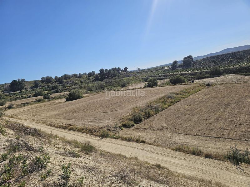 Foto 46118bcc-d1eb-4f53-b4eb-3cf8e02b7b94. Finca rústica a Desamparados - Hurchillo - Torremendo Orihuela