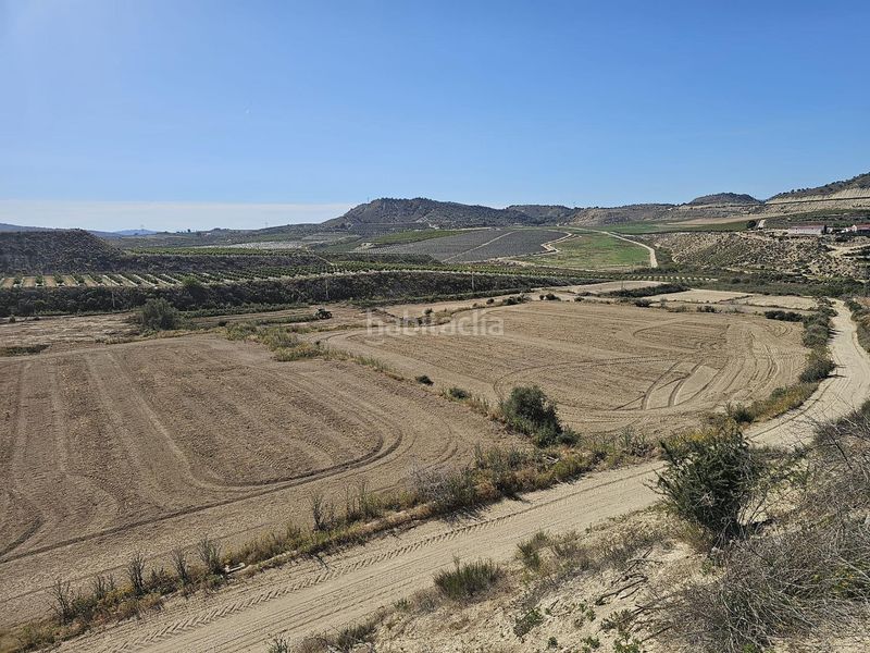 Foto 4a7cc96f-dc39-46b8-a720-82a7a98e23e5. Finca rústica a Desamparados - Hurchillo - Torremendo Orihuela