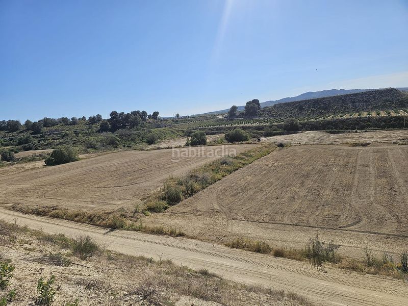 Foto 4fd078e6-0d34-424f-aca9-f21e2d7847d8. Finca rústica a Desamparados - Hurchillo - Torremendo Orihuela