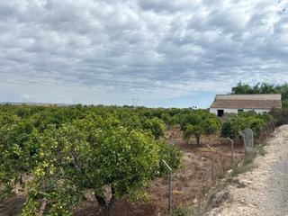 Terrain résidentiel à Pueblo. Parcela de 5000m2 con casa en la huerta de guardamar